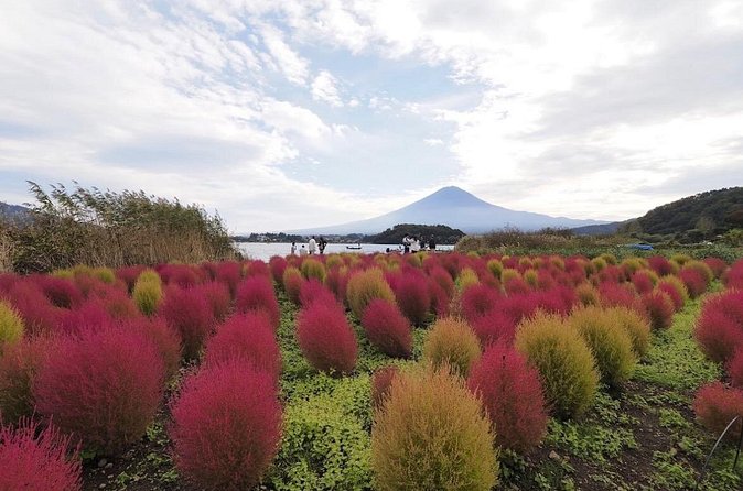 Mount Fuji Full Day Customized Private Tour with English Guide - Oshino Hakkai and its clear spring ponds