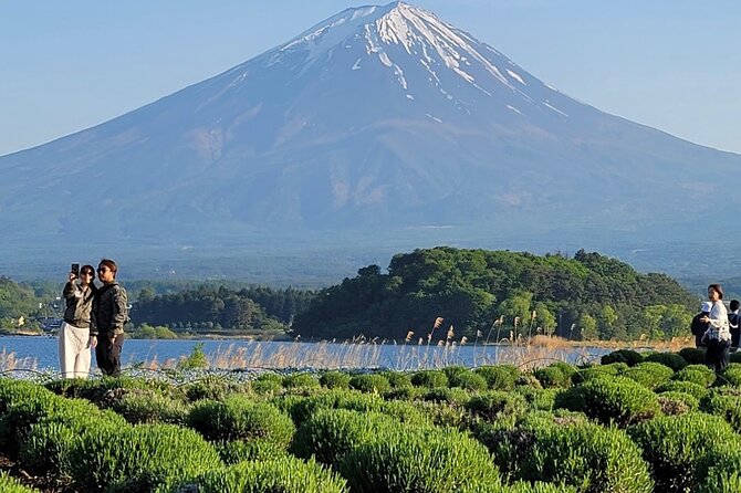 Mount Fuji Full Day Customized Private Tour with English Guide - Narusawa Ice Cave: the surprise stop