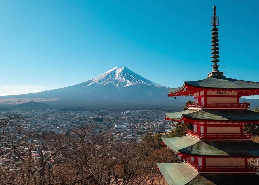 Mount Fuji Full-Day Private Sightseeing Tour with Guide - Starting from your Tokyo hotel
