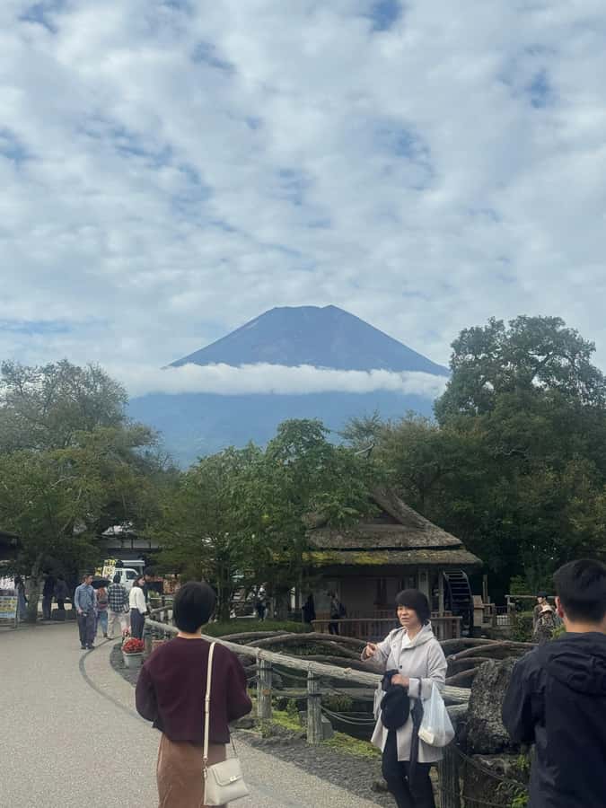 Mount Fuji Full-Day Private Sightseeing Tour with Guide - What the $403 price buys you