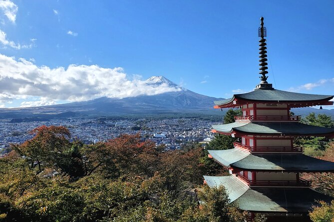 Mount Fuji Full-Day Private Tour from Tokyo (Customizable) - Why a private Mount Fuji day trip works
