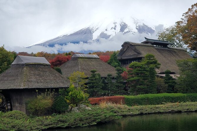 Mount Fuji Full-Day Private Tour from Tokyo (Customizable) - The Subaru Line 5th Station, weather permitting