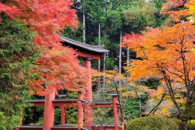 Mount Fuji Full-Day Private Tour from Tokyo (Customizable) - Price, inclusions, and the real value