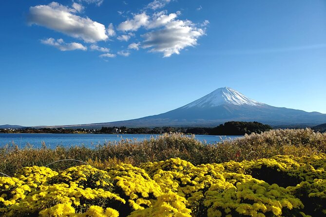 Mount Fuji Full-Day Private Tour from Tokyo (Customizable) - Lake Kawaguchiko: the classic Fuji view