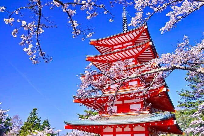 Mount Fuji Full Day Sightseeing Tour from Tokyo - Why this Tokyo to Fuji day trip works