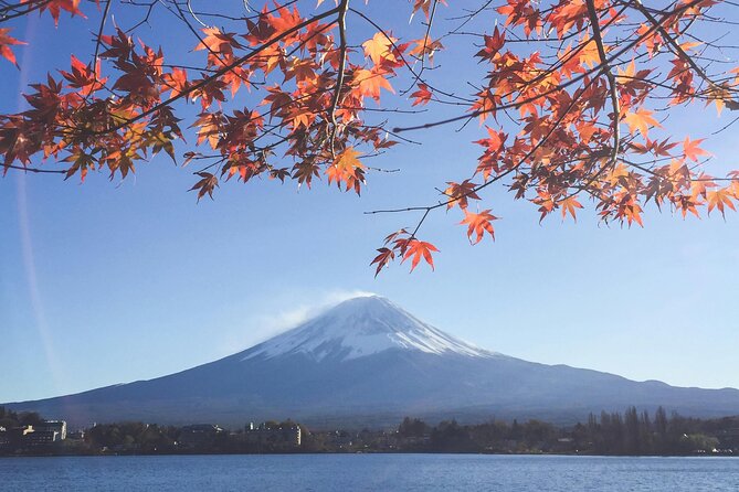 Mount Fuji (Mt. fuji) private tour by car with pickup from Tokyo - Why a private car makes sense from Tokyo