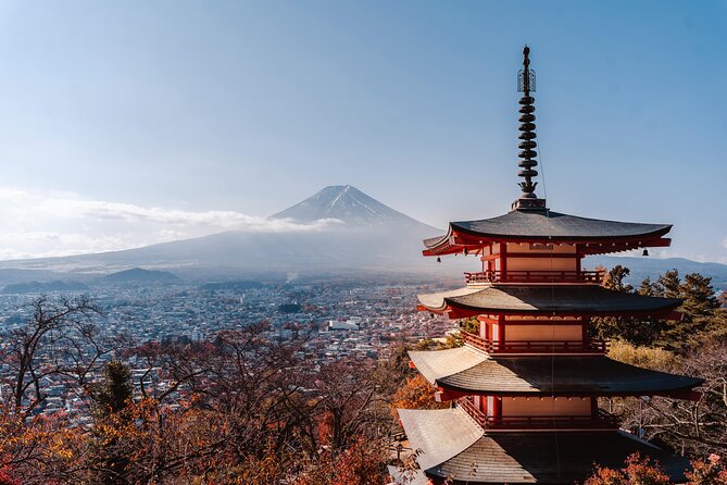 Mount Fuji (Mt. fuji) private tour by car with pickup from Tokyo - Oishi Park delivers one of the finest Fuji views