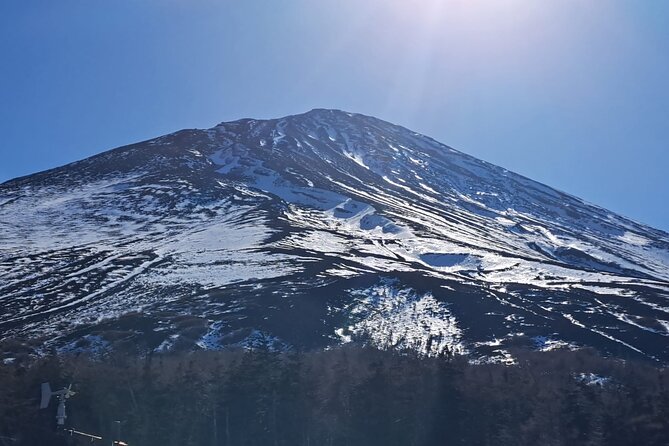 Mount Fuji (Mt. fuji) private tour by car with pickup from Tokyo - Saiko Iyashi no Sato Nemba adds old houses and crafts