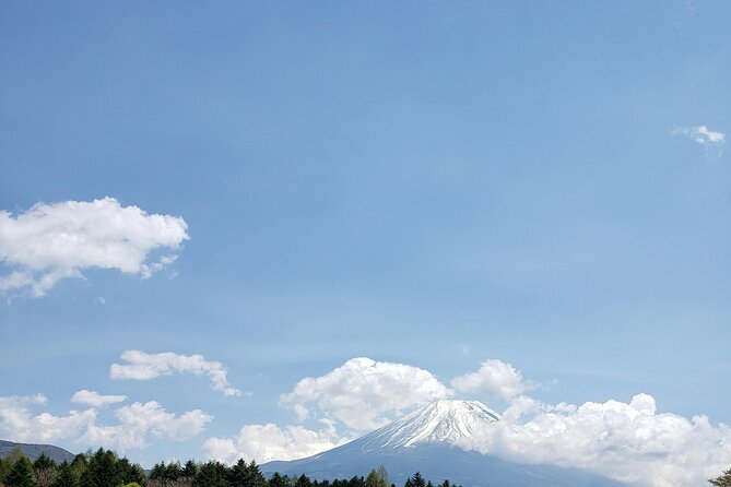 Mount Fuji (Mt. fuji) private tour by car with pickup from Tokyo - The 5th Station takes you higher, but weather decides the view