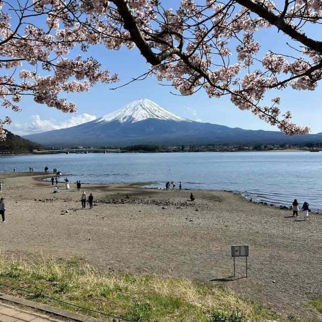 Mount Fuji Private day tour from Tokyo private & Customized - Key points to know before you book