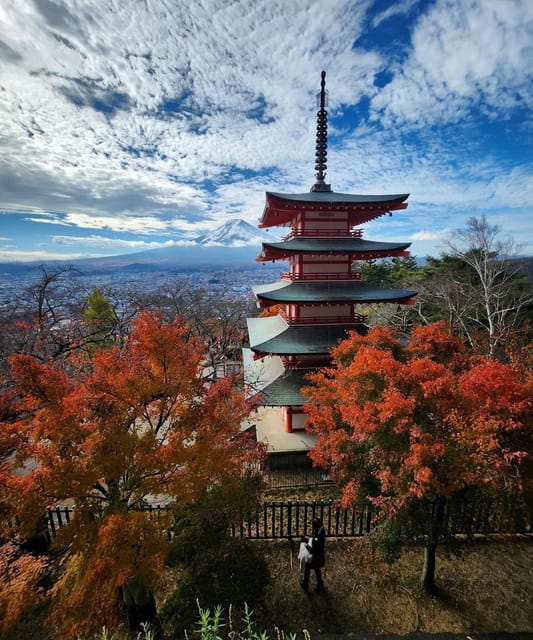 Mount Fuji Private day tour from Tokyo private & Customized - Why a private Fuji day works well from Tokyo