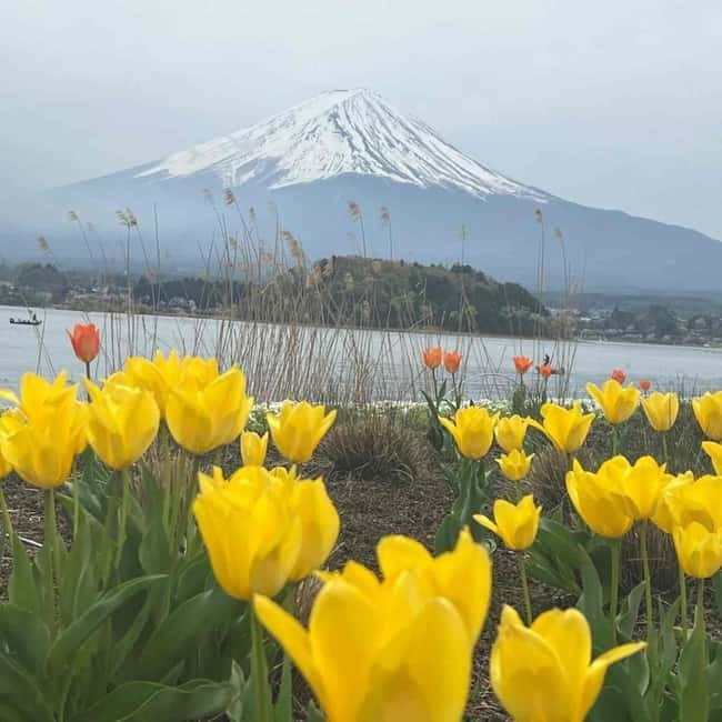 Mount Fuji Private day tour from Tokyo private & Customized - Chureito Pagoda and the famous photograph