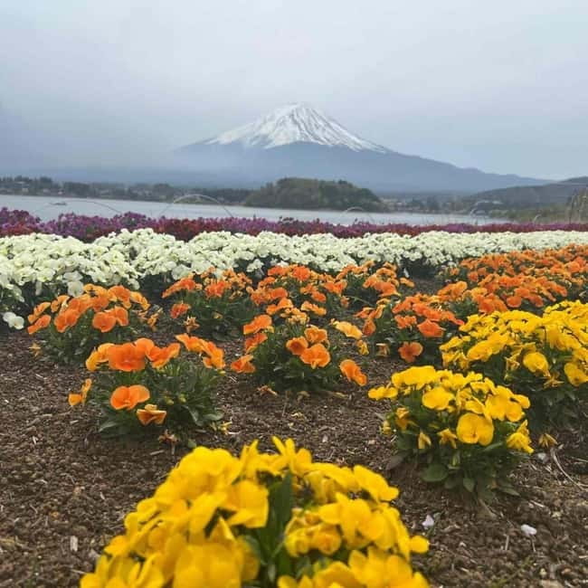 Mount Fuji Private day tour from Tokyo private & Customized - What the driver adds to the experience