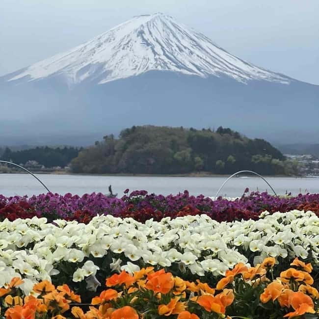 Mount Fuji Private day tour from Tokyo private & Customized - Is $354 a fair price for the private car?