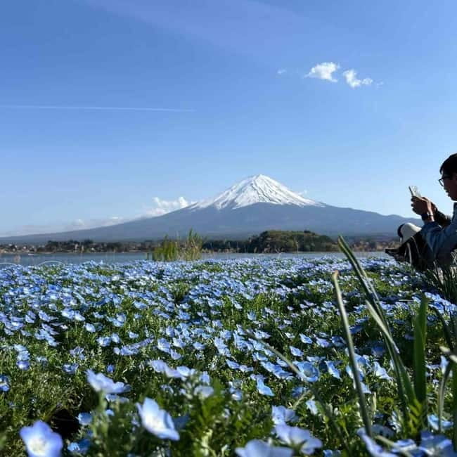 Mount Fuji Private day tour from Tokyo private & Customized - Oshino Hakkai and the first Fuji views