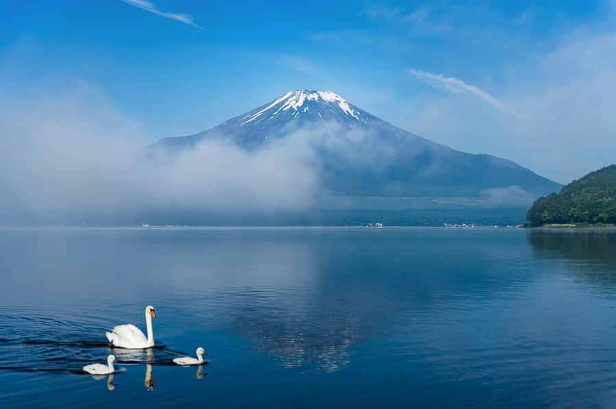 Mount Fuji Private Day Trip With Customizable Itinerary - What to Bring and Who Should Book