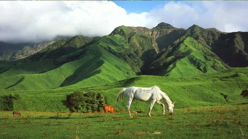 Mt. Aso & Takachiho Gorge Tour with Optional Boat Ride - The real value at $45
