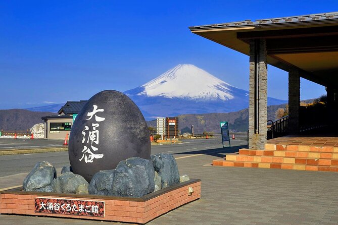 Mt Fuji and Hakone 1-Day Bus Tour Return by Bus - Hakone Ropeway: the best moving viewpoint