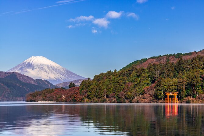Mt. Fuji and Hakone Day Trip From Tokyo with Bullet Train Option - The guides make a real difference