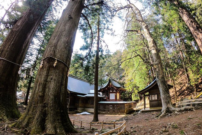 Mt Fuji Area Private Guided Tours in English-Nature up close, quiet, personal - Lake Saiko and the Aokigahara forest