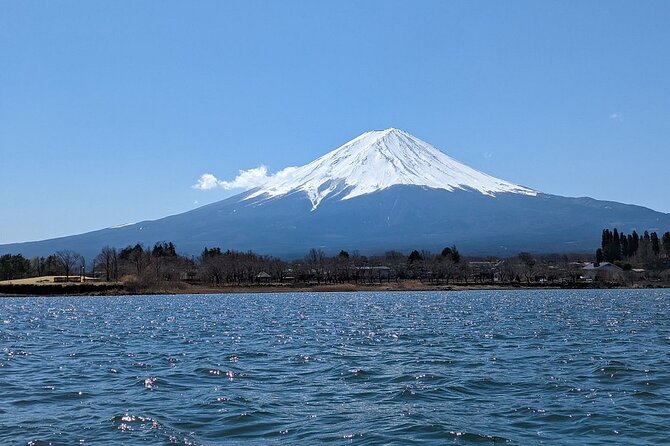 Mt. Fuji Day Trip from Tokyo with English Speaking Driver Guide - Why a private Fuji day trip can be worth the cost
