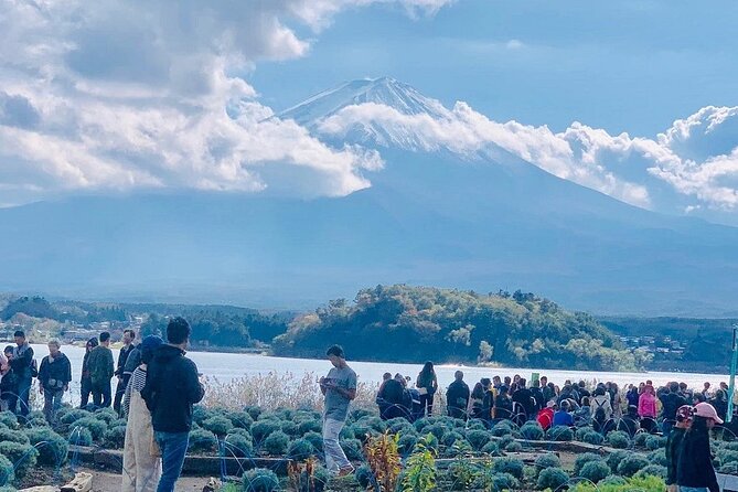 Mt. Fuji Day Trip from Tokyo with English Speaking Driver Guide - Lake Kawaguchiko gives you the classic Fuji setting