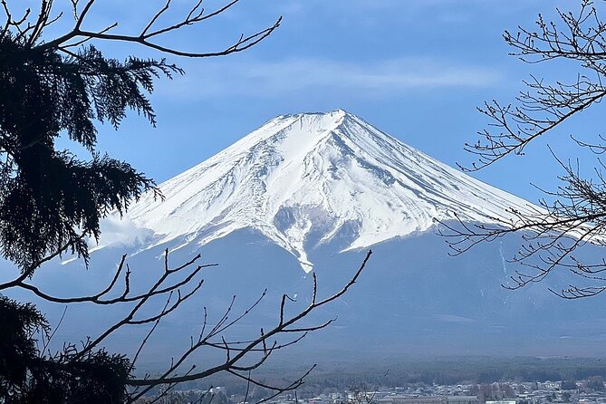 Mt. Fuji Day Trip from Tokyo with English Speaking Driver Guide - Kitaguchi Hongu Fuji Sengen Shrine brings a sacred side of Fuji