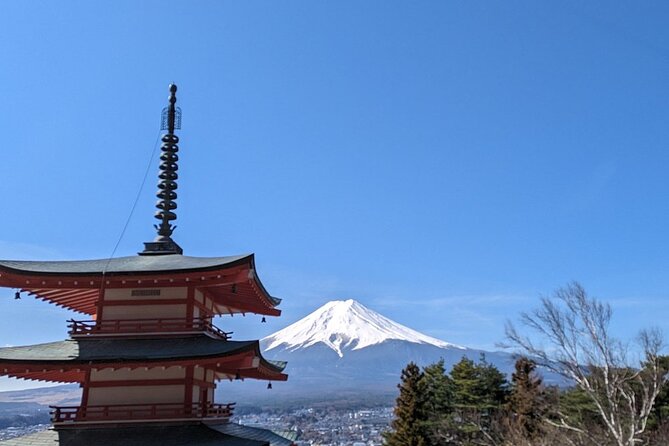 Mt. Fuji Day Trip from Tokyo with English Speaking Driver Guide - The long ride from Tokyo to Fuji