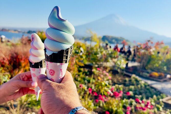 Mt. Fuji & Hakone Cherry Blossom private One Day Tour - A full day from Tokyo to Fuji country