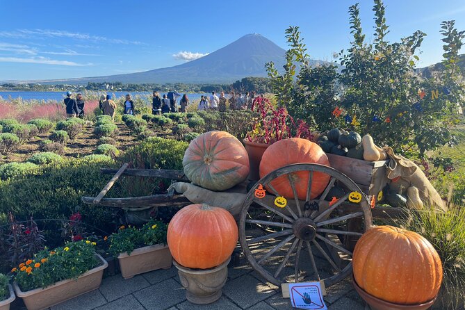 Mt. Fuji & Hakone Cherry Blossom private One Day Tour - Lake Ashi and the Hakone lakeside