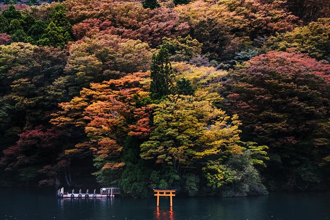 Mt Fuji & Hakone Cruise, Drum Show Bullet Train 1 Day from Tokyo - Lunch, Japanese drums, and a practical food choice
