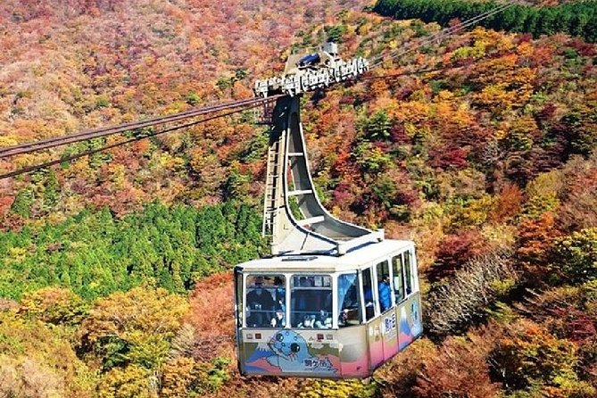 Mt Fuji & Hakone Cruise, Drum Show Bullet Train 1 Day from Tokyo - What the guides add to a crowded schedule