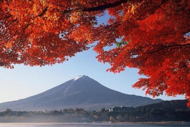 Mt Fuji & Hakone Cruise, Drum Show Bus 1 Day from Tokyo - The guides can shape the day