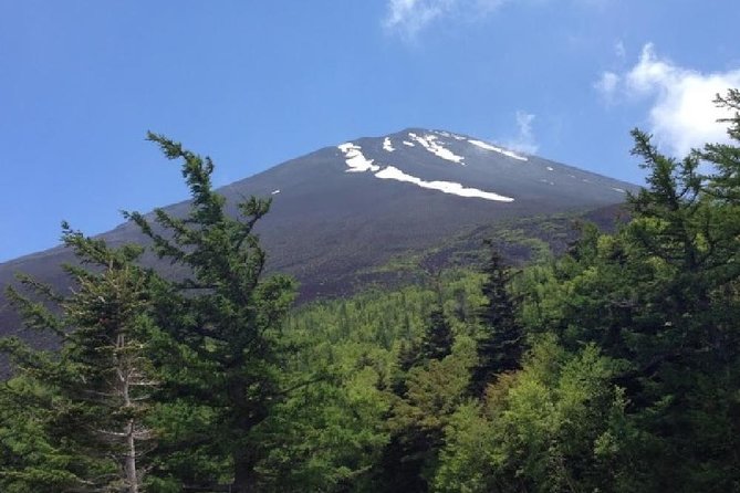 Mt Fuji & Hakone Cruise, Drum Show Bus 1 Day from Tokyo - Weather, road closures, and the refund question