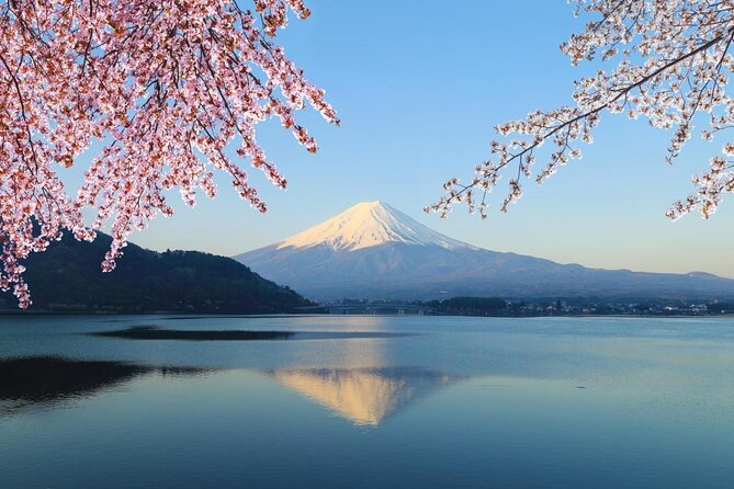 Mt Fuji & Hakone Cruise, Drum Show Bus 1 Day from Tokyo Sta. Area - A long day from Tokyo to Japan’s famous volcano