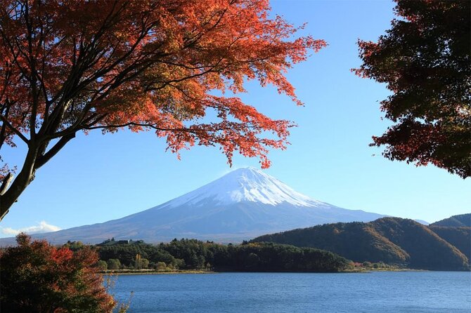 Mt Fuji & Hakone Cruise, Drum Show Bus 1 Day from Tokyo Sta. Area - Mt. Fuji 5th Station at 2,300 meters