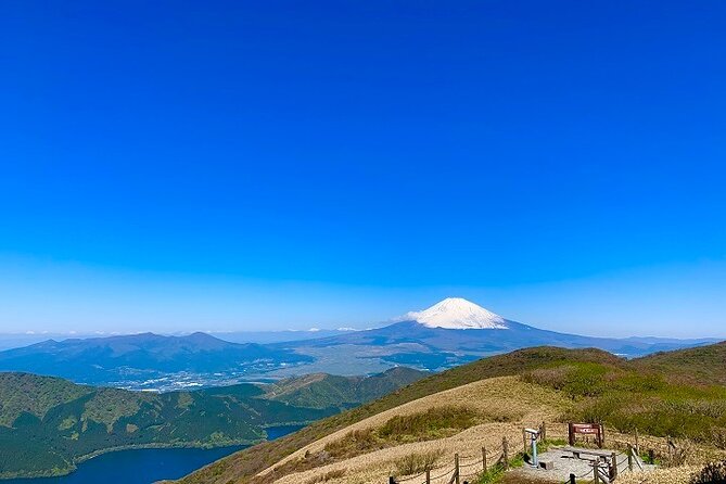 Mt Fuji & Hakone Cruise, Drum Show Bus 1 Day from Tokyo Sta. Area - What the strongest and weakest feedback tells you