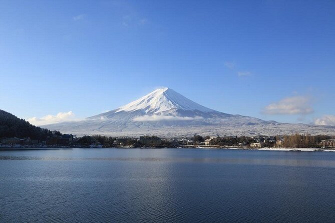 Mt Fuji & Hakone Cruise, Drum Show Bus 1 Day from Tokyo Sta. Area - Lunch at Fuji Zakura Hotel and a Japanese drum performance
