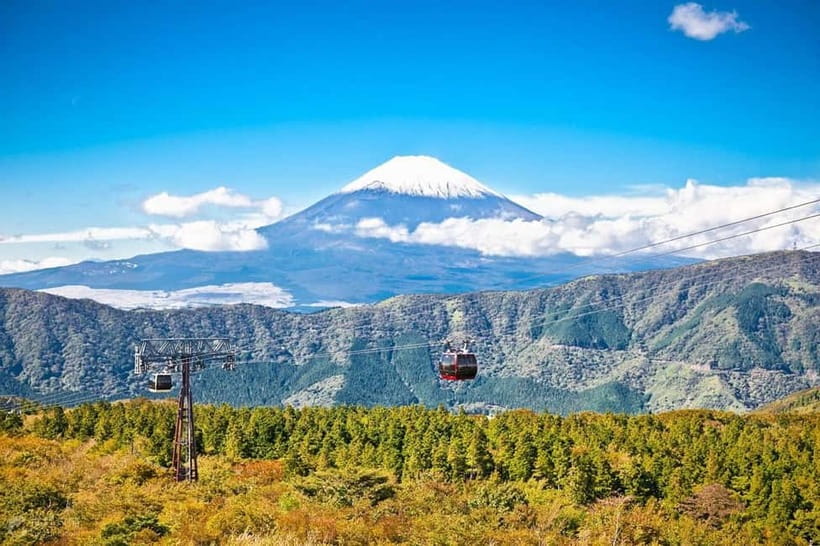 Mt.Fuji Hakone Day Tour With Lake Ashi Cruise, FREE Ropeway - From Tokyo to the cedar gates of Hakone Shrine
