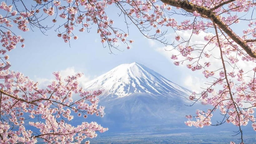 Mt.Fuji Hakone Day Tour With Lake Ashi Cruise, FREE Ropeway - Lunch requires a little planning