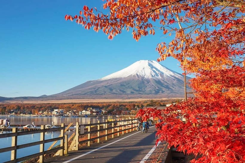 Mt Fuji Hakone/Enoshima Tour:Optional Ropeway/Lake Ashi Boat - One long day from Tokyo, with three very different moods