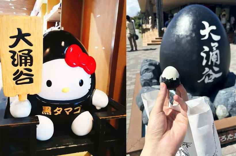 Mt Fuji Hakone/Enoshima Tour:Optional Ropeway/Lake Ashi Boat - Should you book the Mt. Fuji, Hakone, and Enoshima tour?