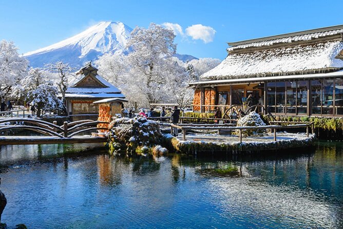 Mt. Fuji, Hakone Full-Day Private Tour with English Driver Guide - Key points before you book