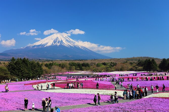 Mt. Fuji, Hakone Full-Day Private Tour with English Driver Guide - A private route that tries to cover two big day trips