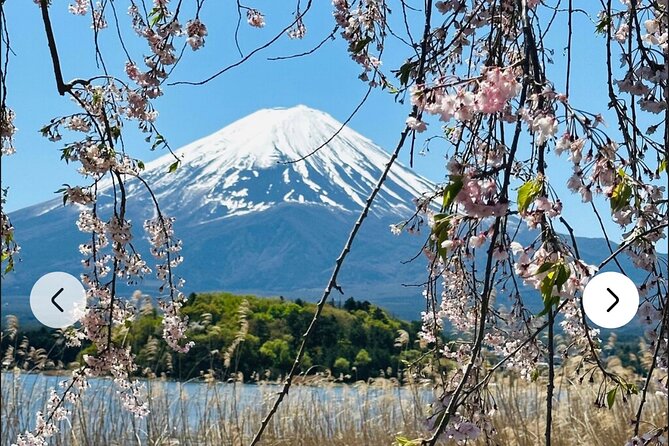 Mt. Fuji, Hakone Full-Day Private Tour with English Driver Guide - Lake Kawaguchiko and the Kachi Kachi viewpoint