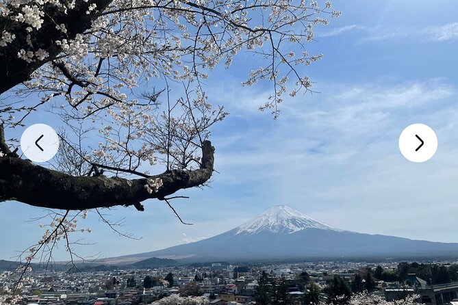 Mt. Fuji, Hakone Full-Day Private Tour with English Driver Guide - Arakurayama and Chureito Pagoda