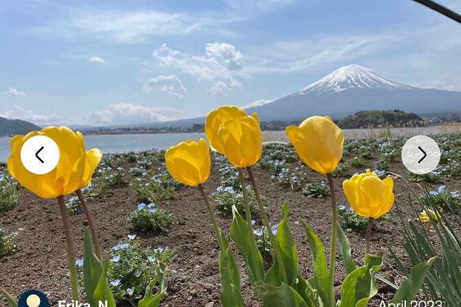 Mt. Fuji, Hakone Full-Day Private Tour with English Driver Guide - Crossing into Hakone and Owakudani