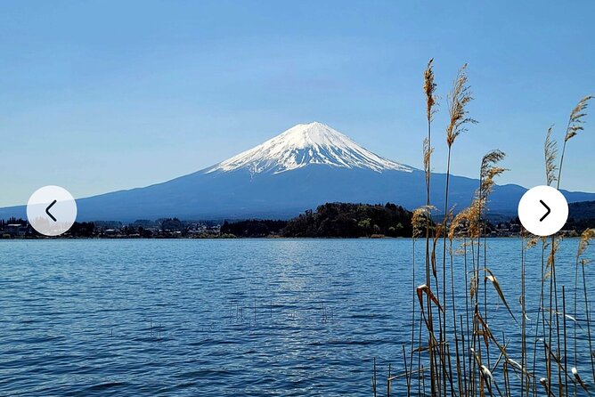 Mt. Fuji, Hakone Full-Day Private Tour with English Driver Guide - Why the itinerary needs careful editing