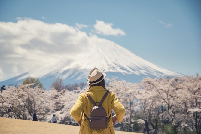 Mt. Fuji & Hakone Private Day Tour with English-Speaking Driver - Why a private car helps on a Tokyo to Fuji and Hakone day