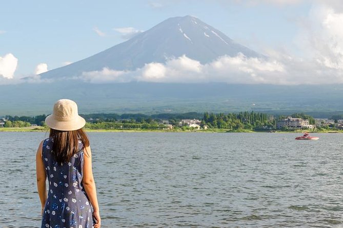 Mt. Fuji & Hakone Private Day Tour with English-Speaking Driver - Kitaguchi Hongu Fuji Sengen Shrine adds a quieter cultural stop